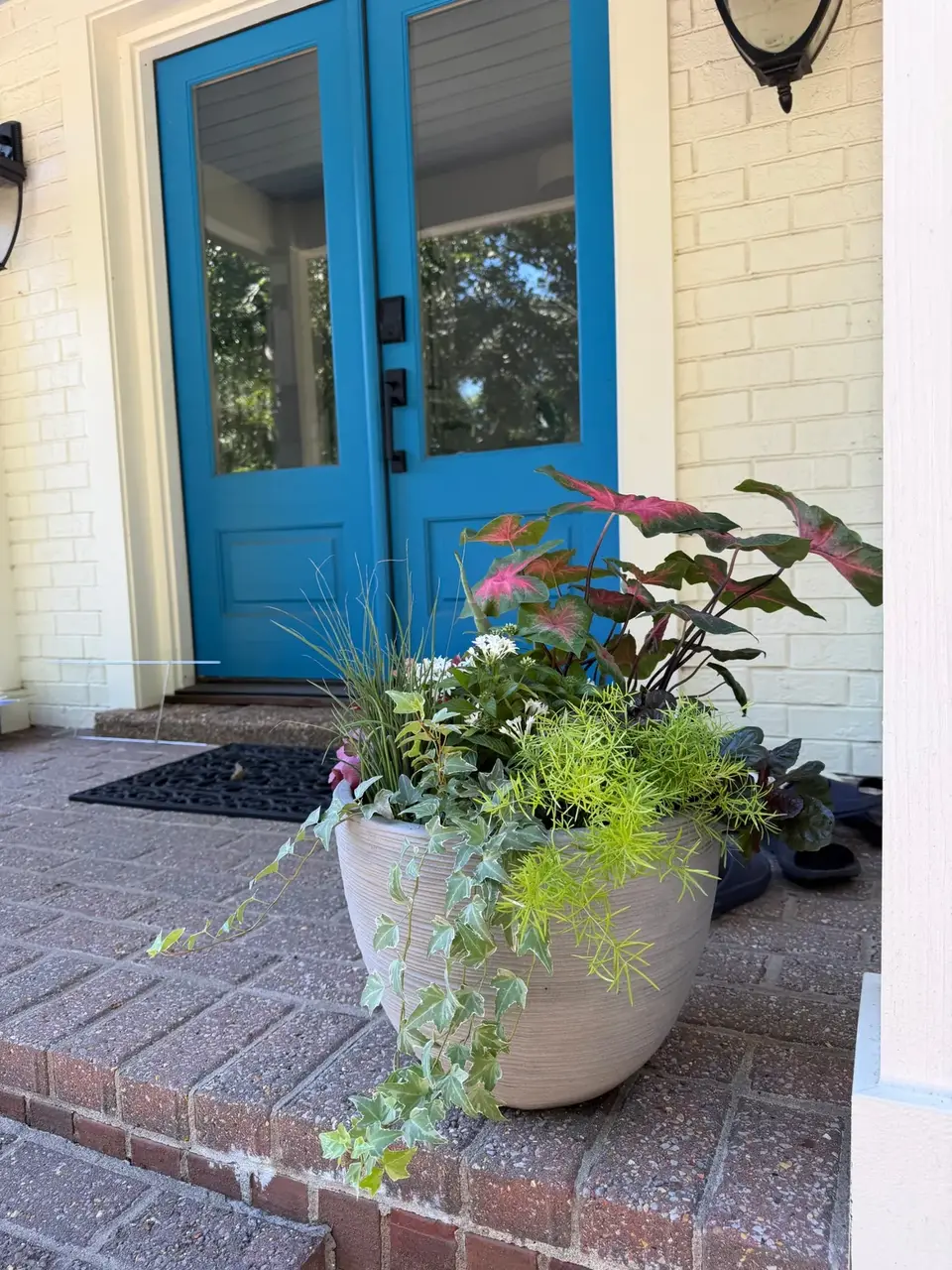 Round stone pot with pink caladium, variegated ivy, and asparagus fern in front of blue double doors.